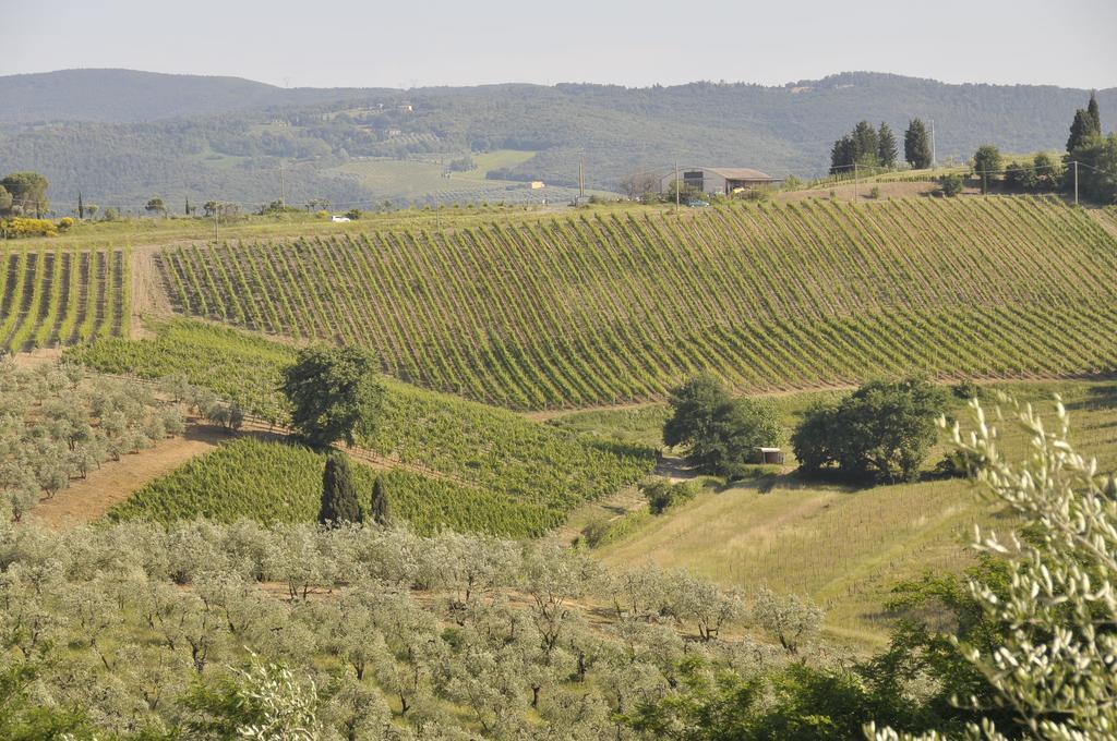 Agriturismo Renai E Monte II Гамбаси Терме Екстериор снимка